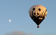 WWF hot air balloon